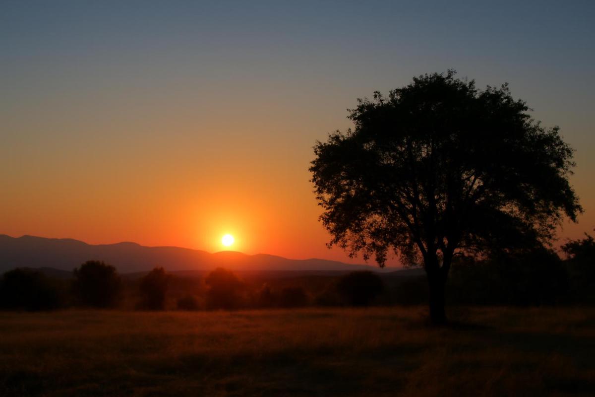 Clima en Salta: pronóstico del tiempo para el 12 de abril