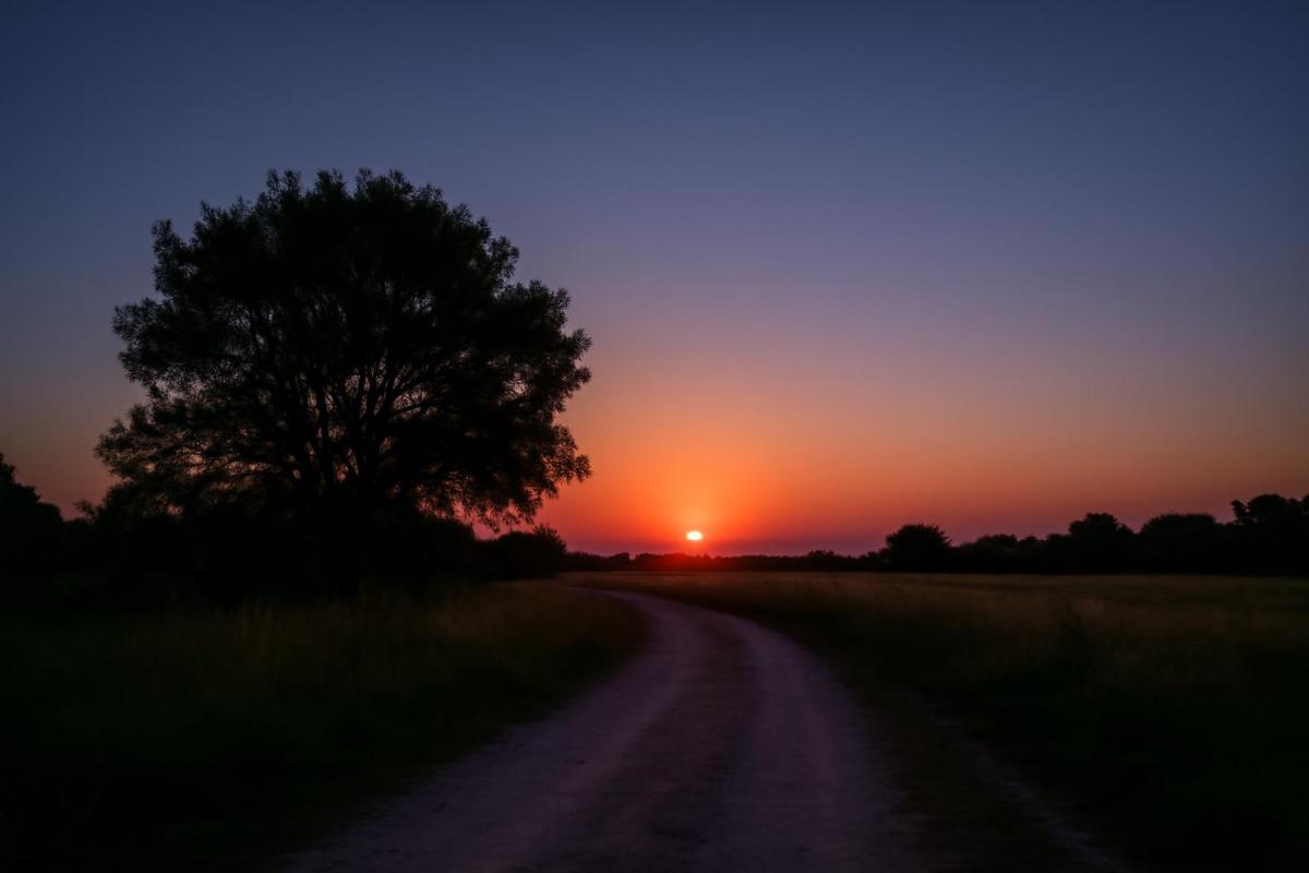 Clima en Salta: pronóstico del tiempo para el 5 de julio