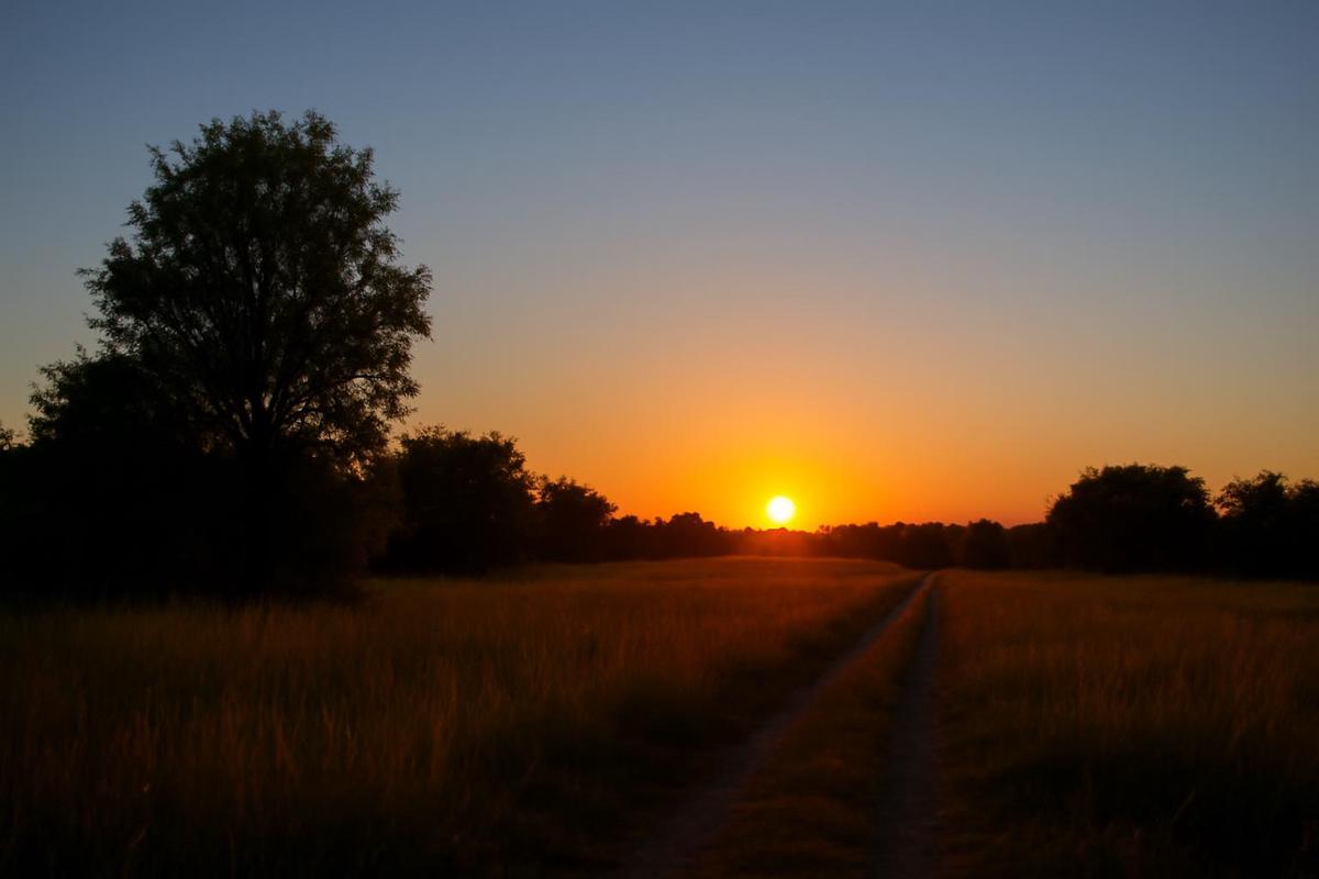 Clima en Córdoba: pronóstico del tiempo para el sábado 6 de diciembre