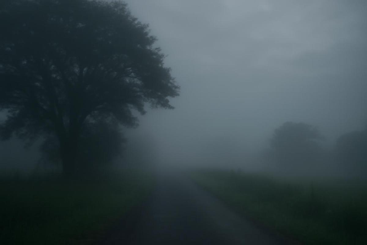 Estado del tiempo en Tucumán para el 15 de diciembre