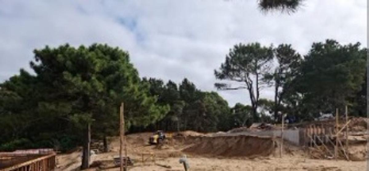 027341f5-386b-4f36-8755-fce85b01ea9d