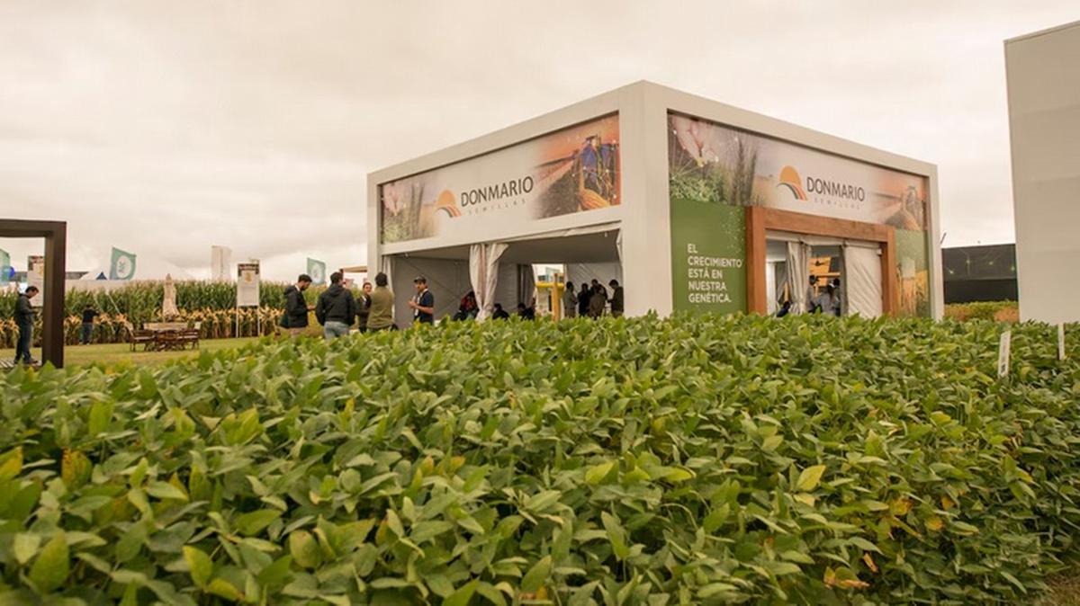 Las nuevas tecnologías en variedades que se destacaran en Soja de Segunda siembra