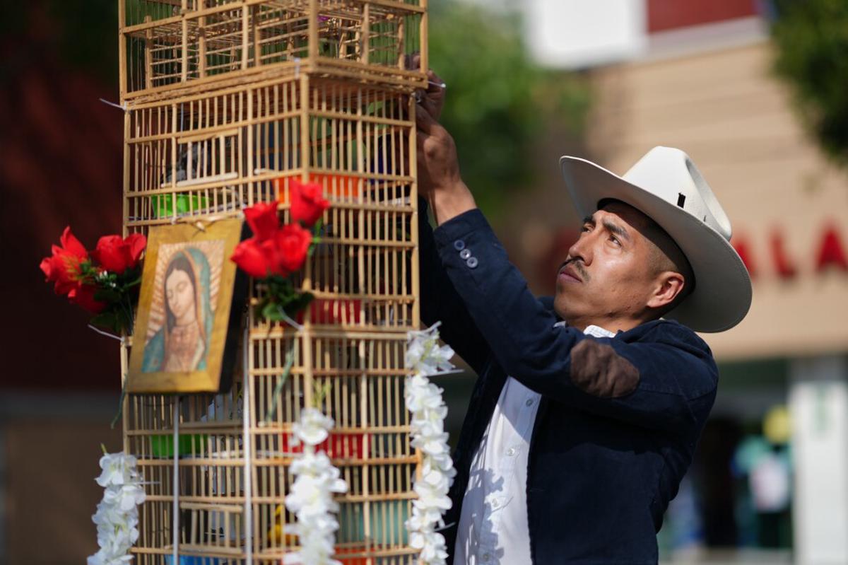Hombres cargan torres de jaulas con aves por las calles de México; dicen que su tradición muere