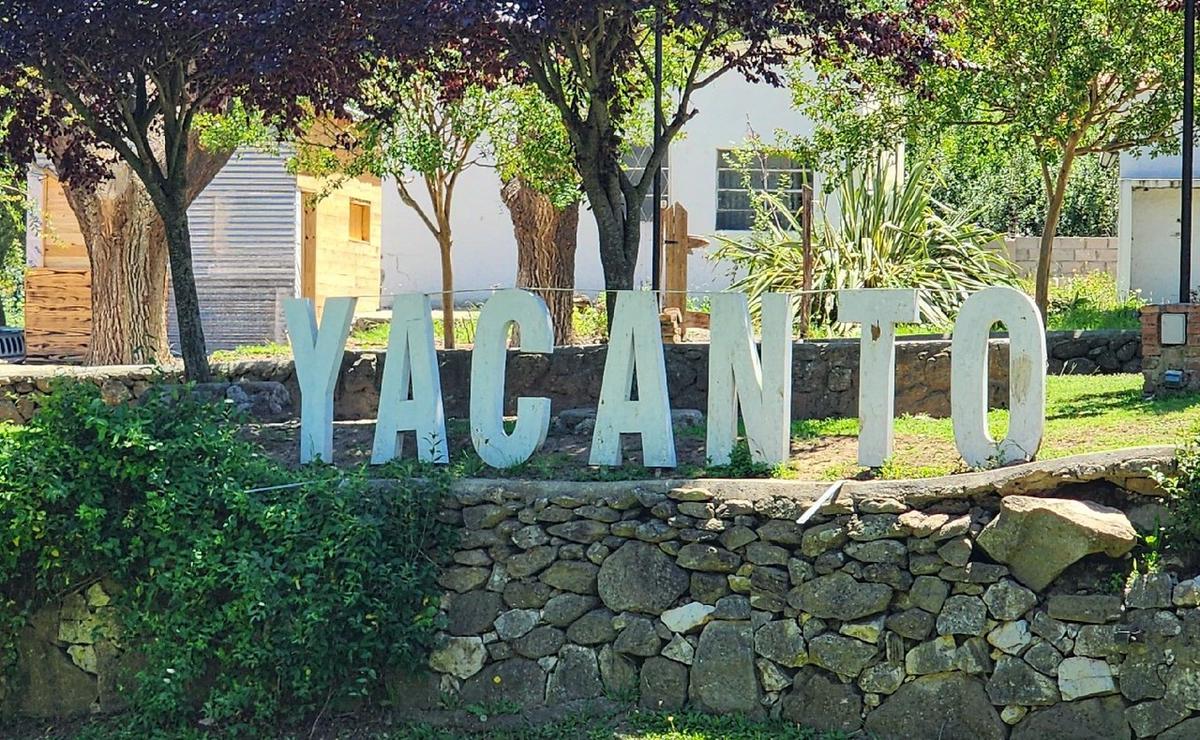 FOTO: Segunda edición de La Argentina Reforesta en Yacanto de Calamuchita.