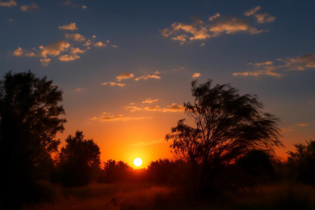 Clima en Mendoza: pronóstico del tiempo para el 4 de diciembre