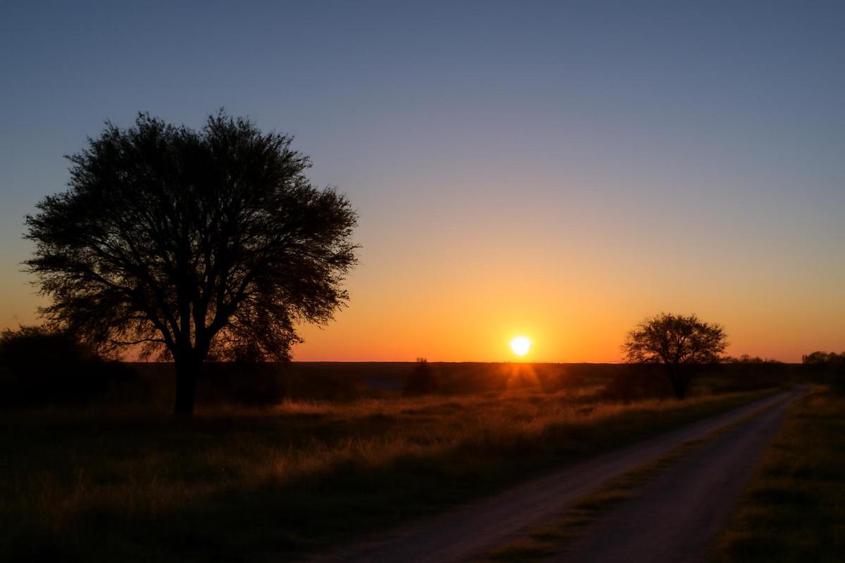 Clima en Rosario: pronóstico del tiempo para el 9 de diciembre