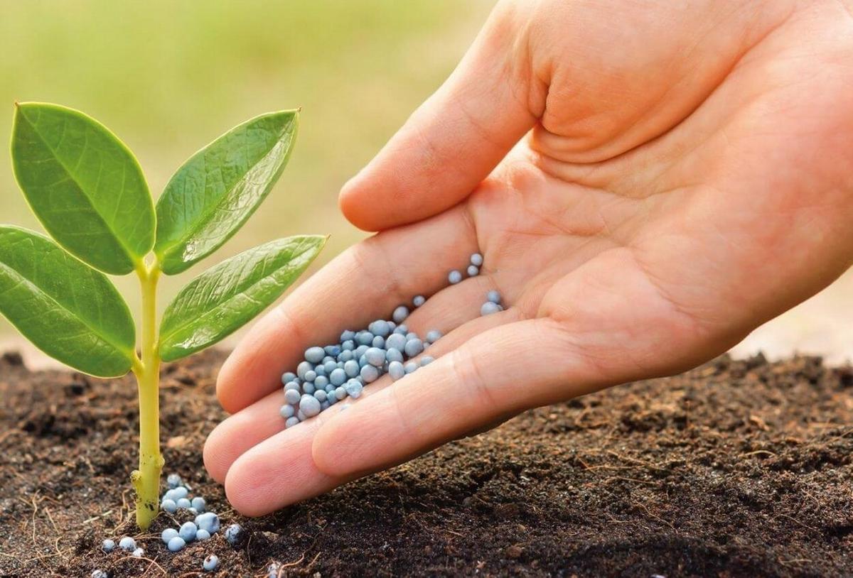 Biofertilizantes granulados