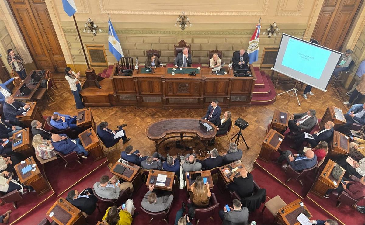 La fiscal general de la provincia de Santa Fe, María Vranicic, expuso ante el Senado.