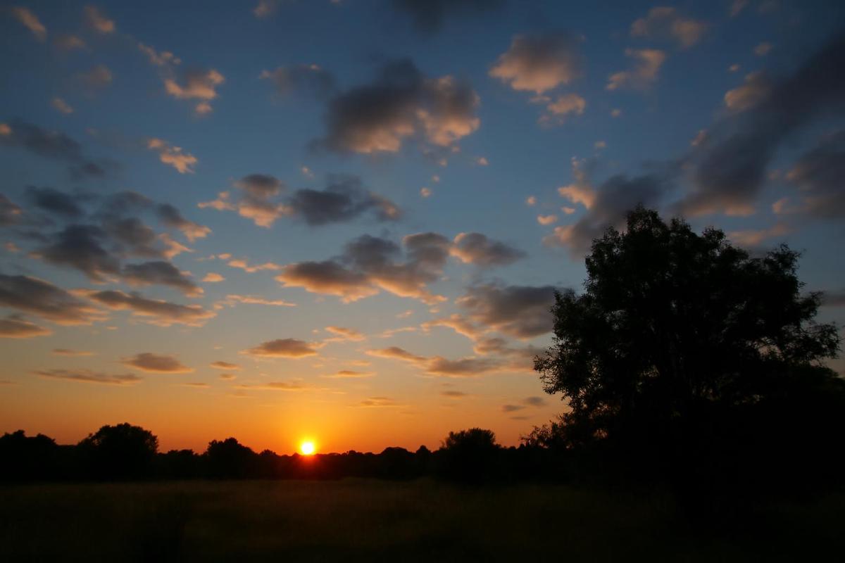 Clima en Santa Fe: pronóstico del tiempo para el 28 de enero