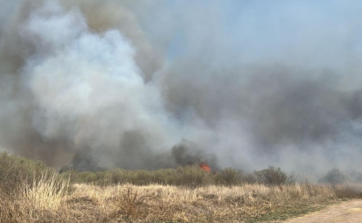 FOTO: Nuevo incendio cerca de la autopista Córdoba-Carlos Paz. (Celeste Benecchi/Cadena 3)