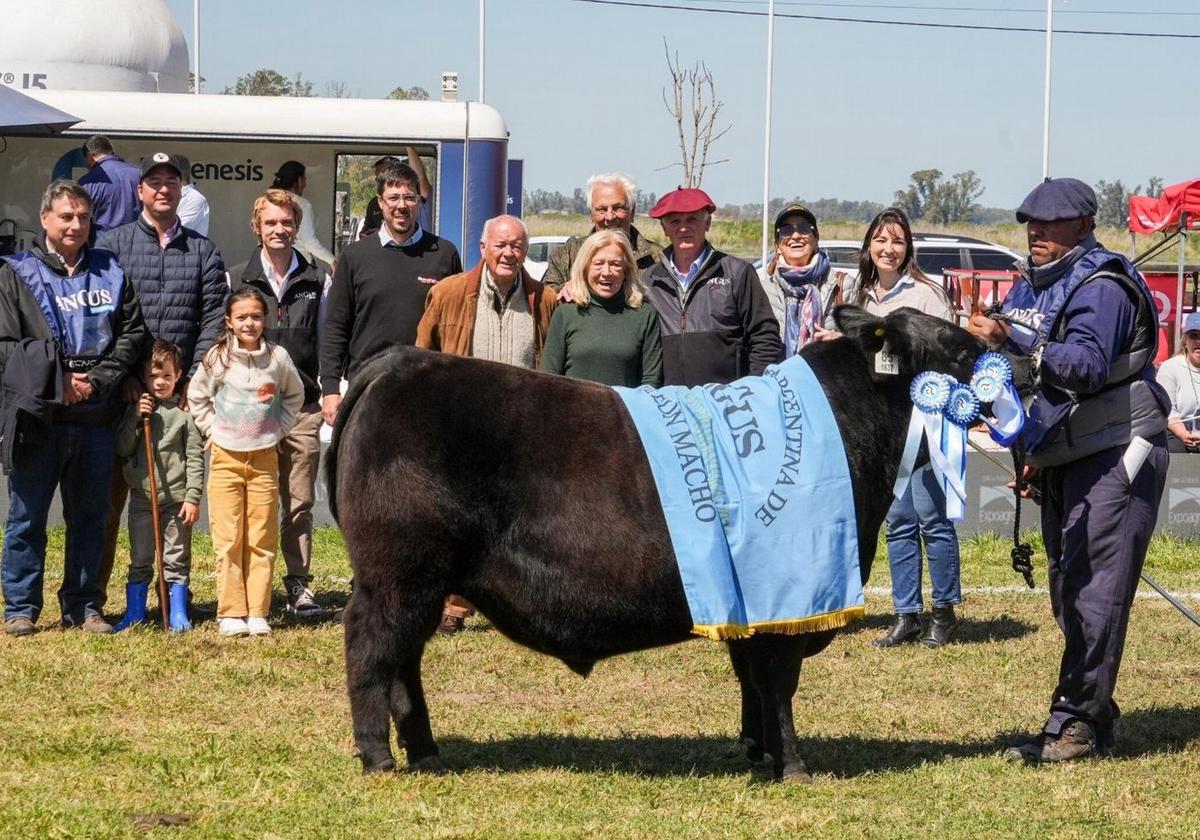 cabaña Las Tranqueras, ubicada en General Belgrano se llevó el Gran Campeón Ternero