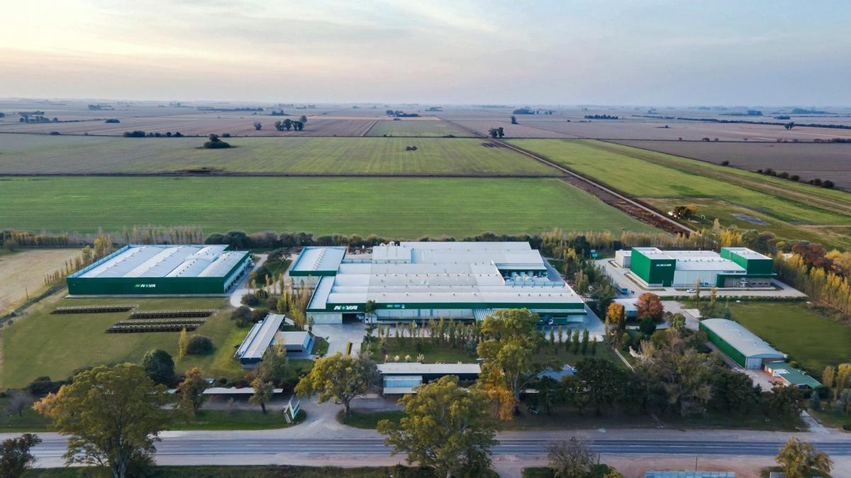 La moderna planta de NOVA permitirá producir hasta 100.000 tn/año