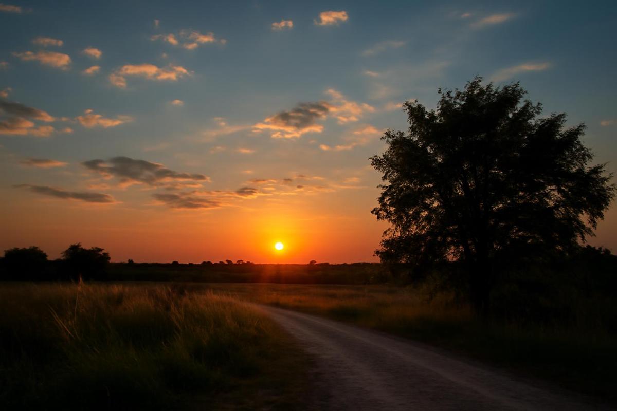 Clima en Rosario: pronóstico del tiempo para el 28 de febrero