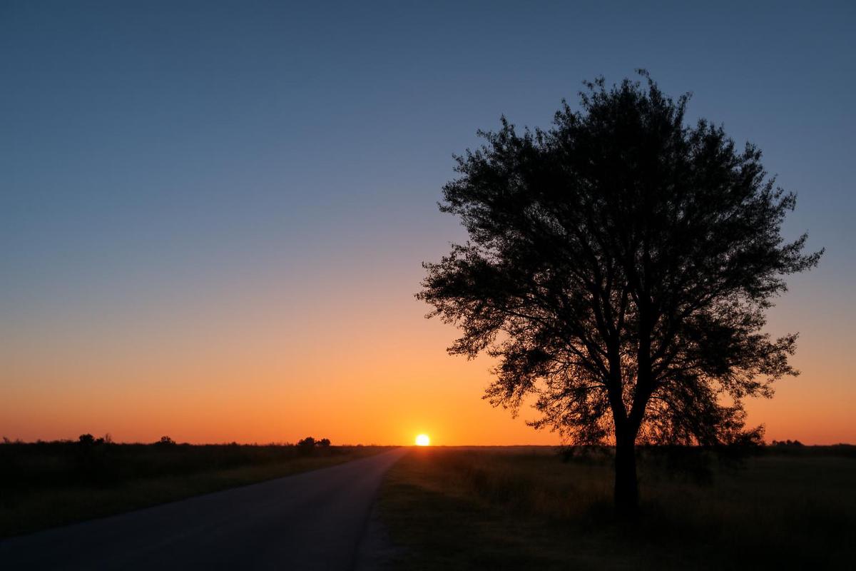 Clima en Mendoza: pronóstico del tiempo para el 13 de diciembre