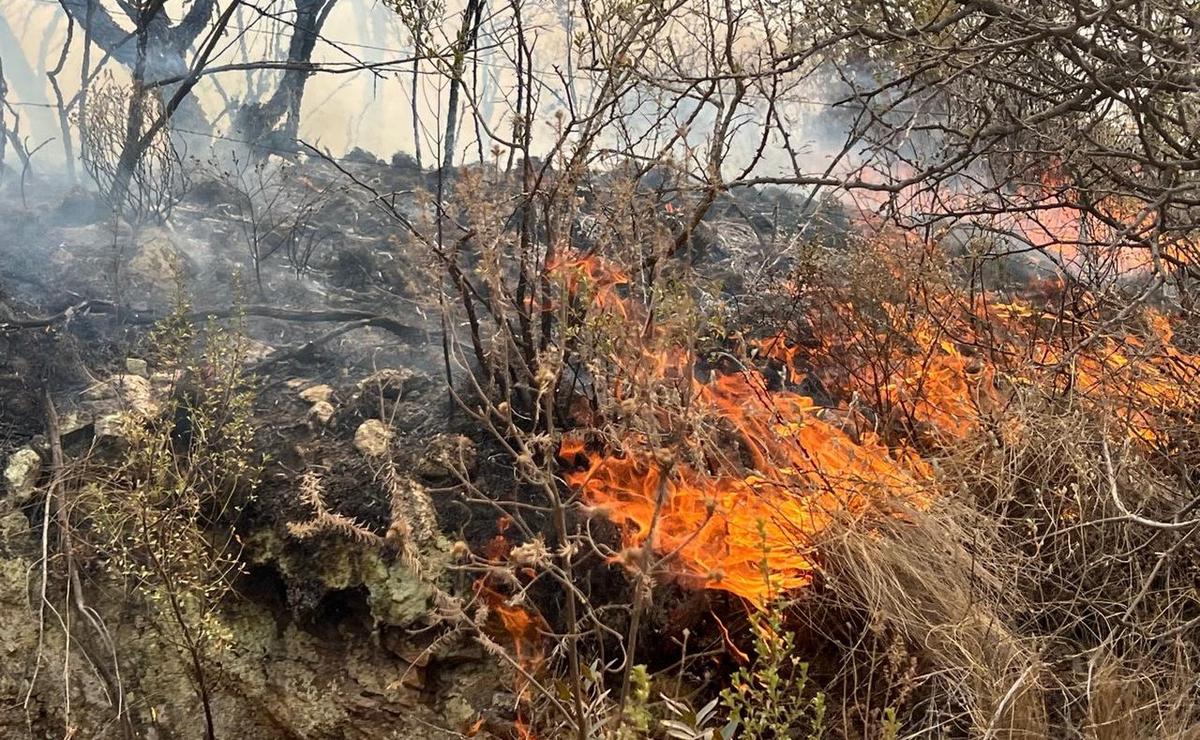 FOTO: Se reinició el fuego en Capilla del Monte y San Marcos. (Daniel Cáceres/Cadena 3)