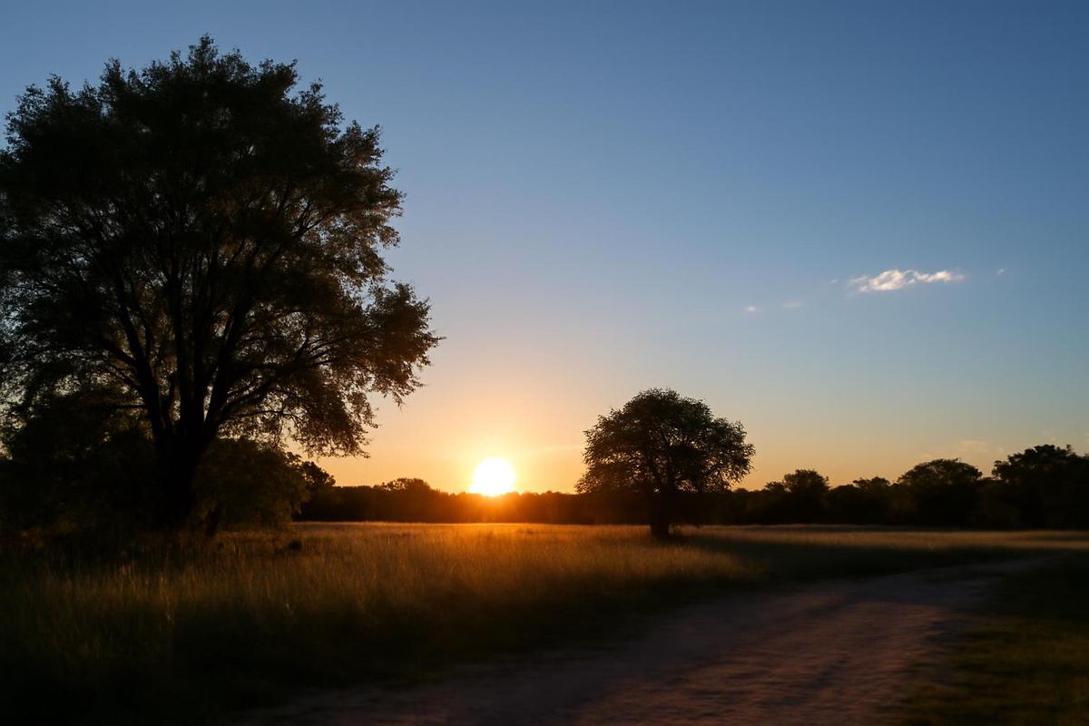 Clima en Salta: pronóstico del tiempo para el 18 de julio