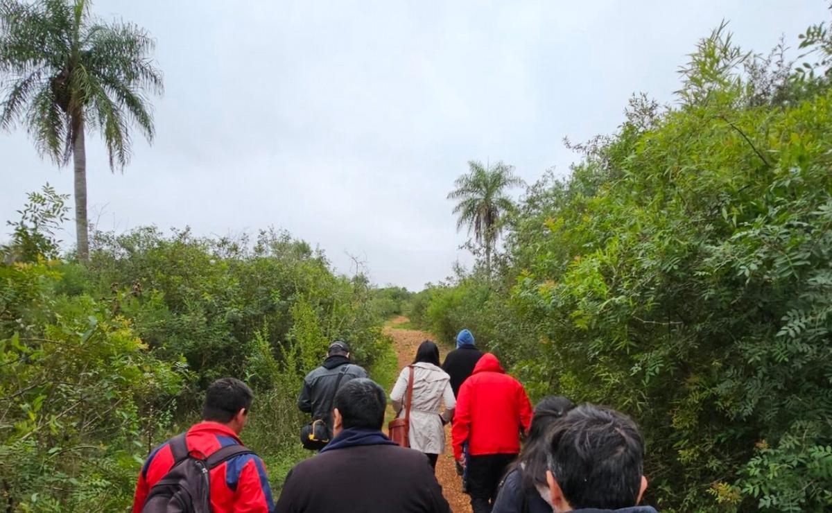 FOTO: Esteros de Iberá