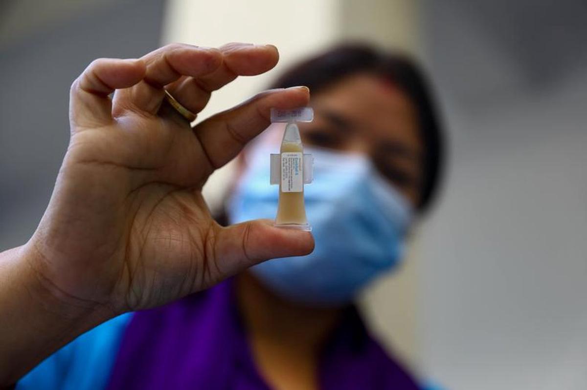 Brote de cólera mortal en Pakistán.