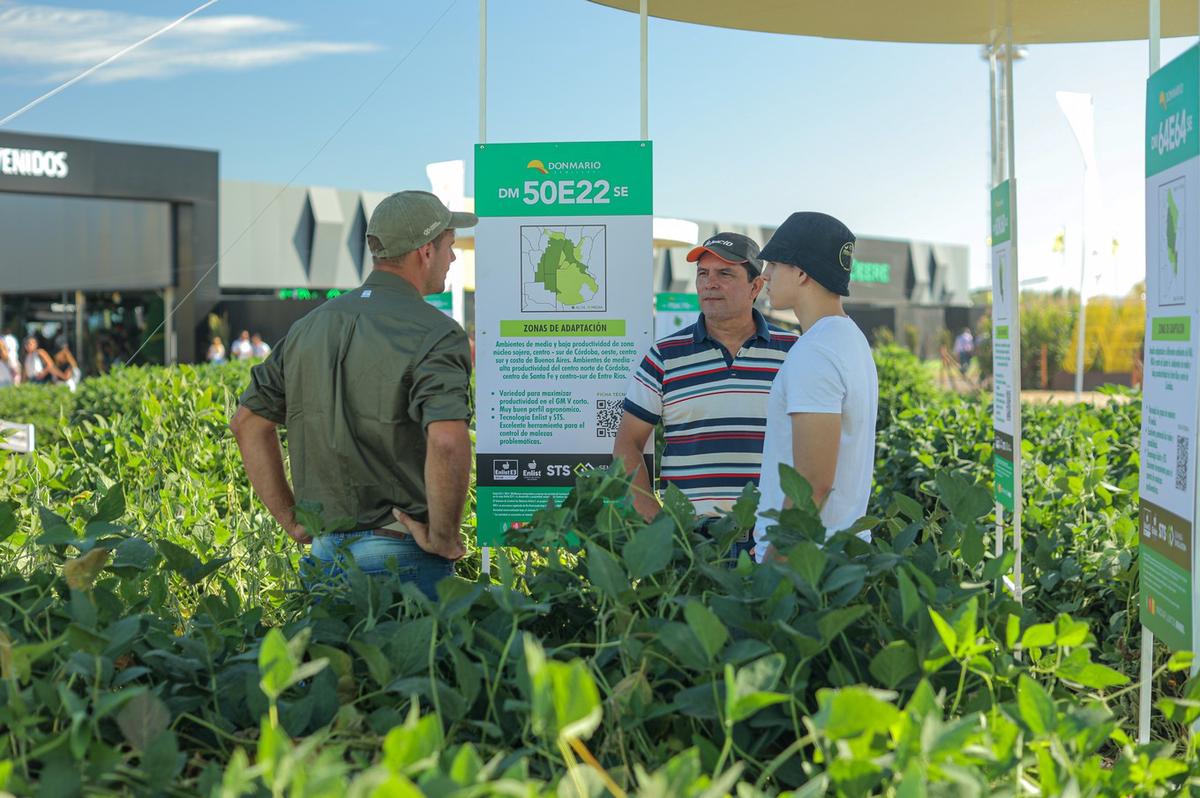 Tácticas y estrategias. Una de las claves de este evento.