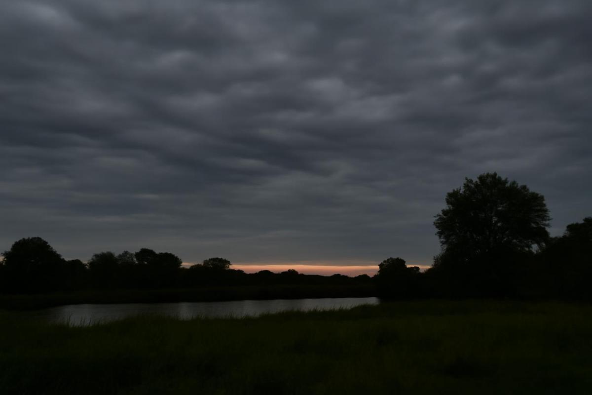 Clima en CABA: pronóstico del tiempo para el 16 de julio