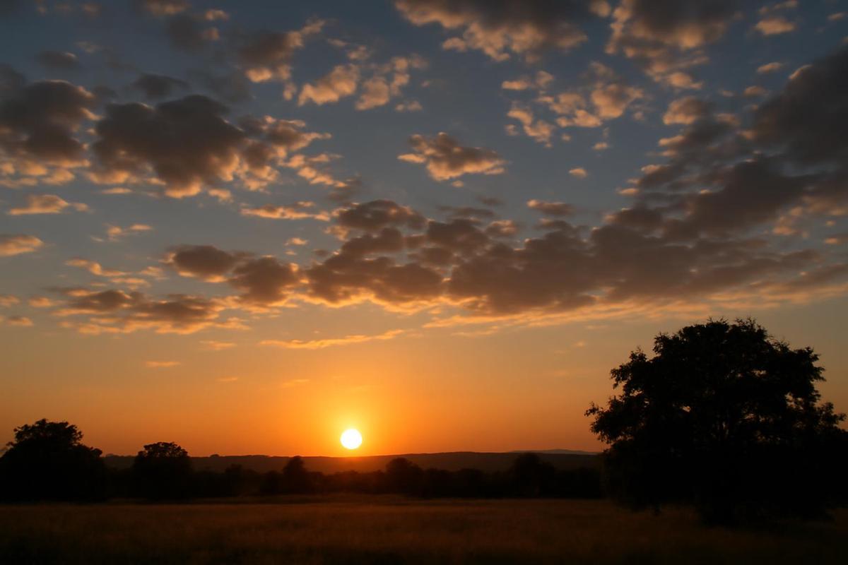 Clima en Salta: pronóstico del tiempo para el 7 de diciembre