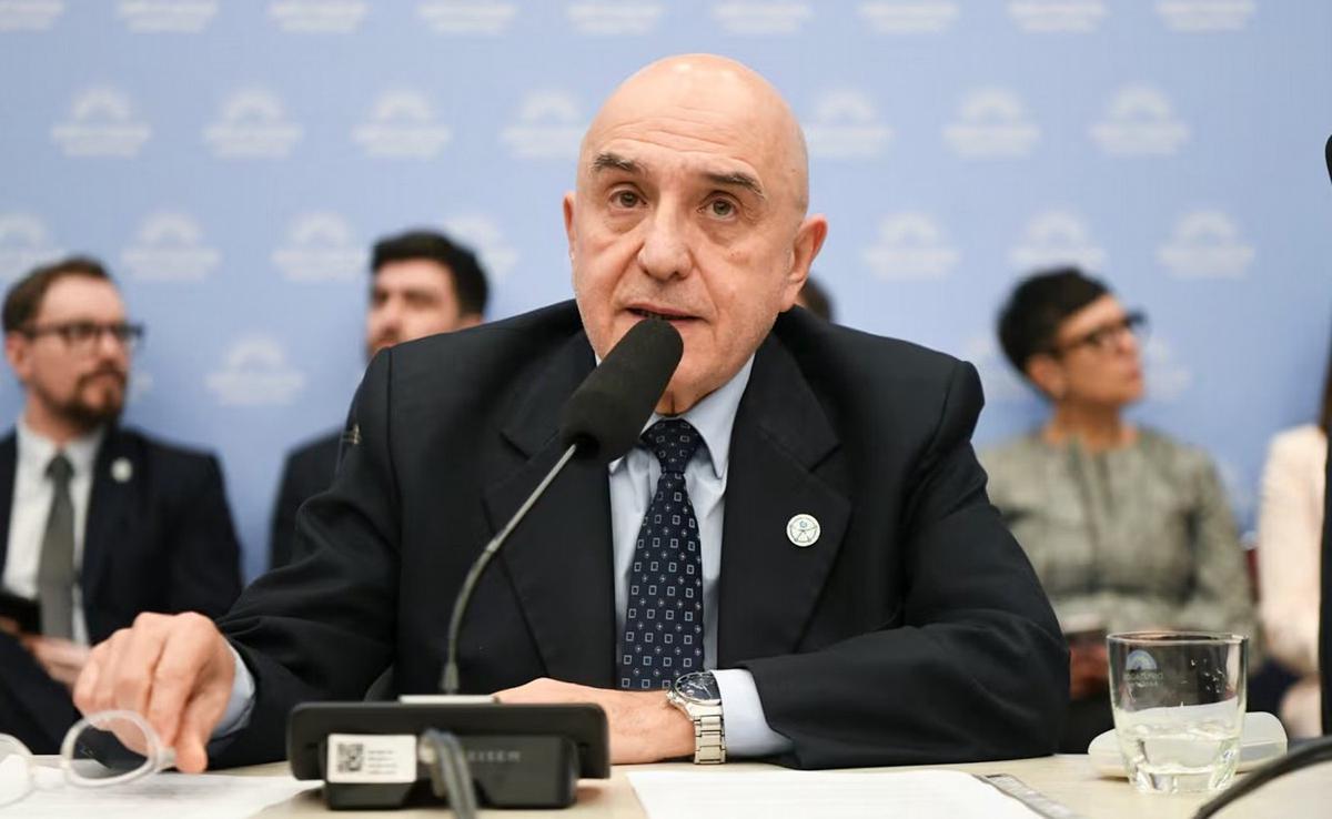 Alejandro Vilches, exsecretario nacional de Discapacidad. (Foto: HCDN)
