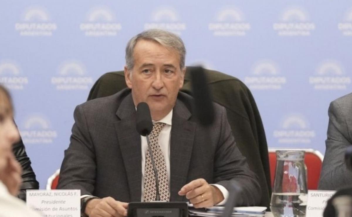 Nicolás Mayoraz, diputado de La Libertad Avanza.