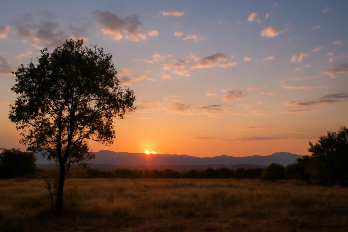 Clima en Salta: pronóstico para el jueves 11 de diciembre