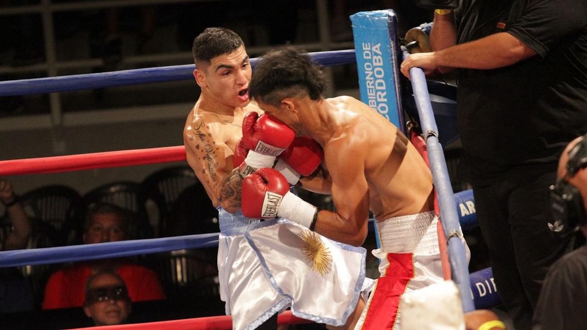 FOTO: Ring Fight Night: Córdoba tendrá su noche de boxeo internacional