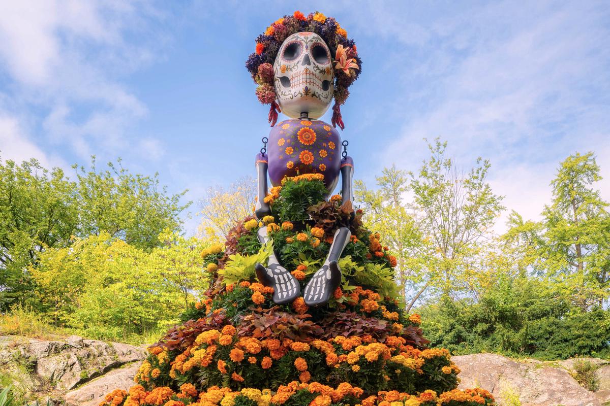 El cempasúchil adorna los altares del Día de Muertos y guía a los espíritus con su color y aroma