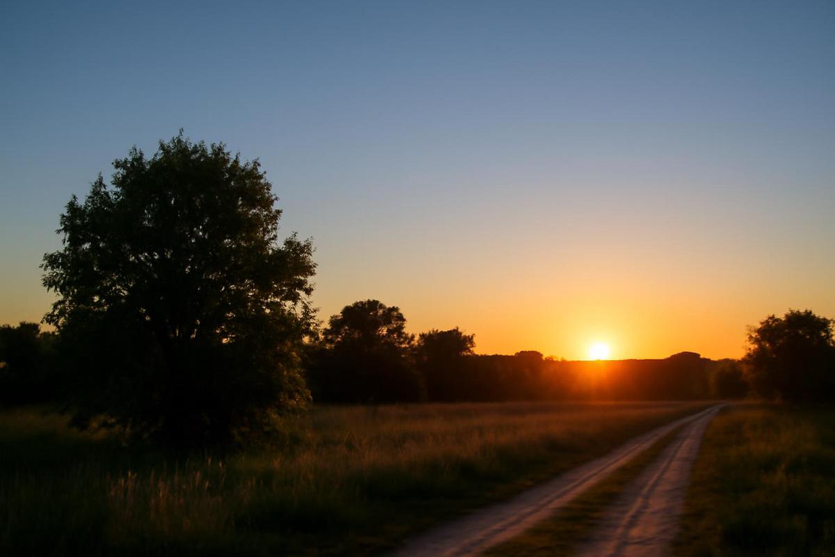 Clima en Mendoza: pronóstico del tiempo para el 9 de diciembre