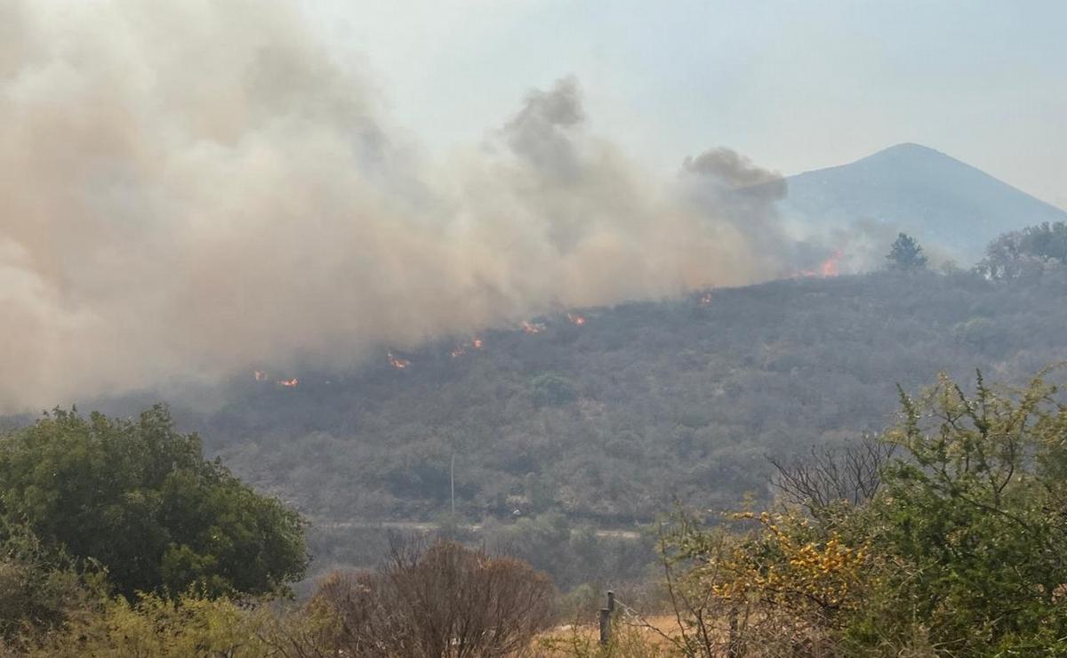 FOTO: Incendio en Capilla del Monte (Foto: Daniel Cáceres/Cadena 3).