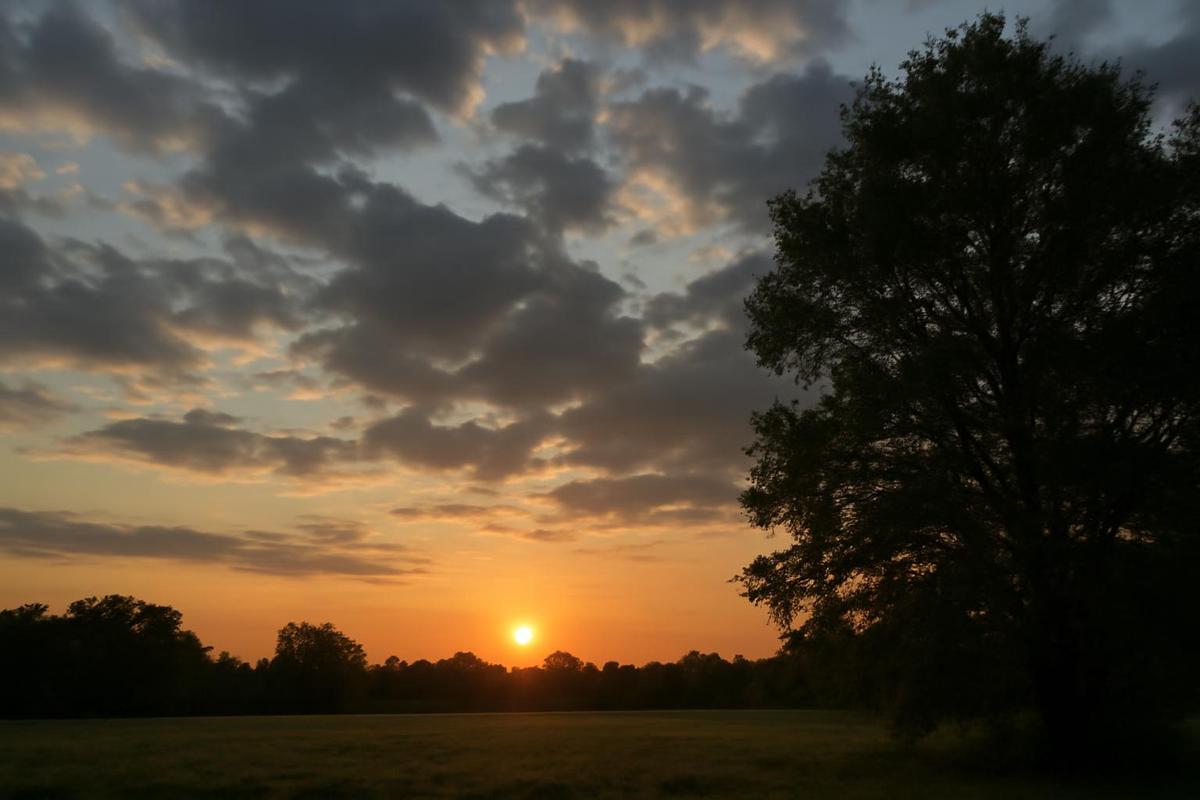 Clima en Salta: pronóstico del tiempo para el 31 de marzo