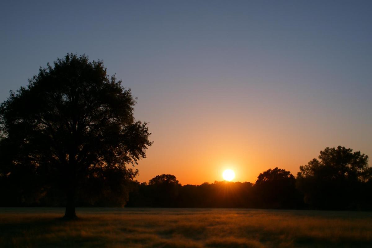 Clima en CABA: pronóstico del tiempo para el 13 de enero