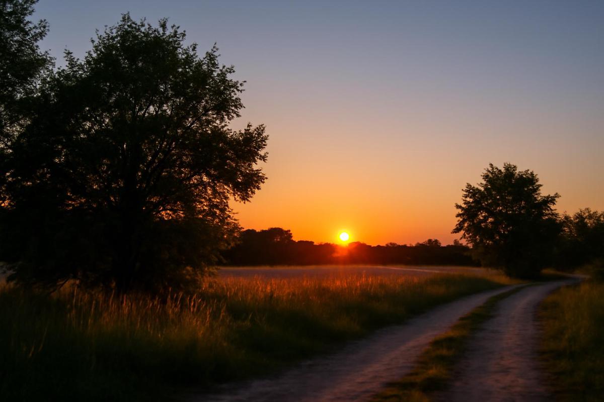 Clima en Mendoza: pronóstico del tiempo para el 3 de diciembre