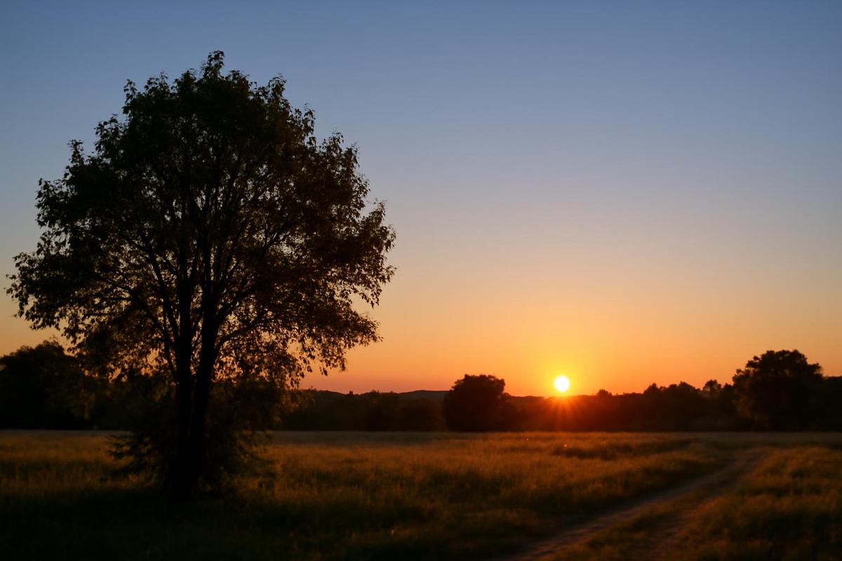 Clima en Rosario: pronóstico del tiempo para el 12 de diciembre