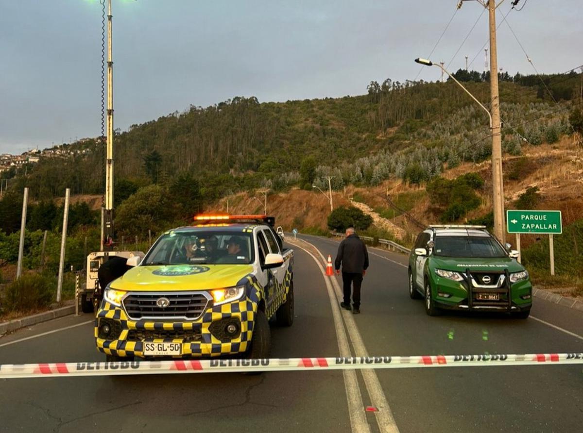 FOTO: Murió el ex jugador de Los Pumas “Rito” Irañeta en un accidente de auto en Chile 