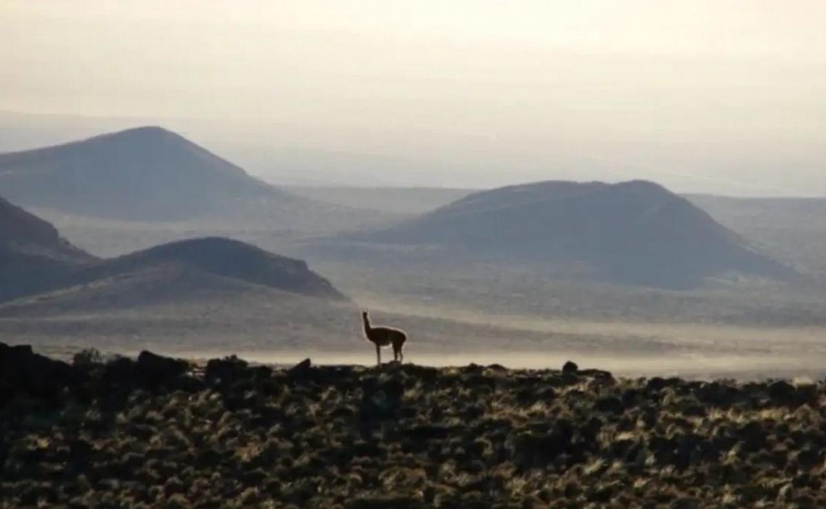 Alerta: detectan una señal de calor inusual en un volcán de la Patagonia.