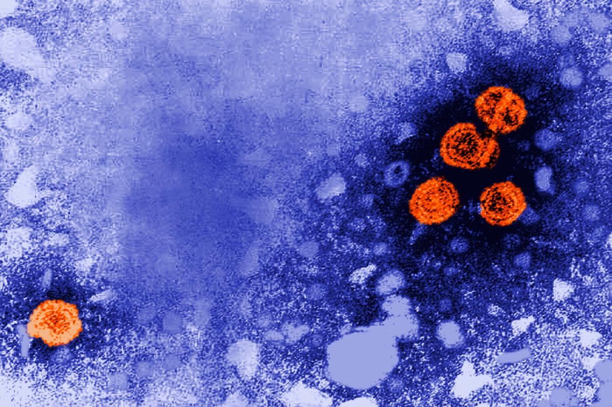 Un fármaco experimental contra la hepatitis B podría ofrecer