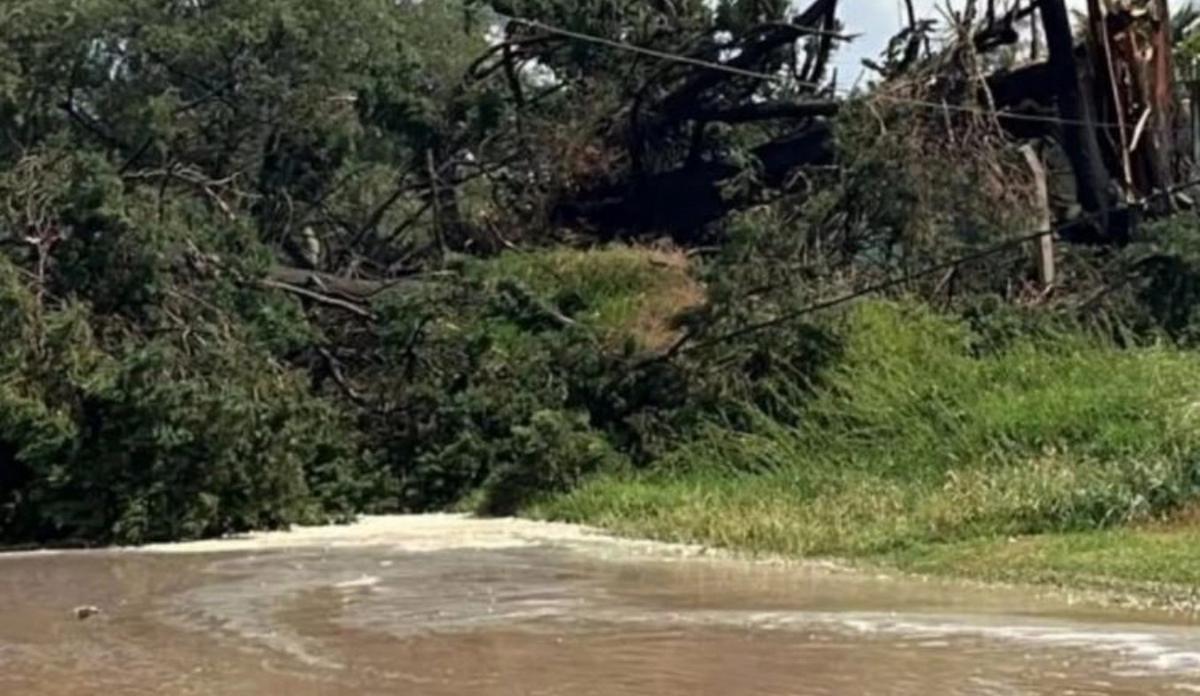 FOTO: Temporal en Coronel Moldes