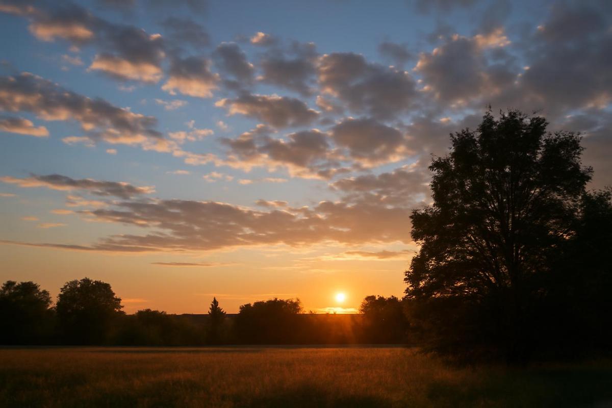 Estado del tiempo en Rosario para el 11 de diciembre