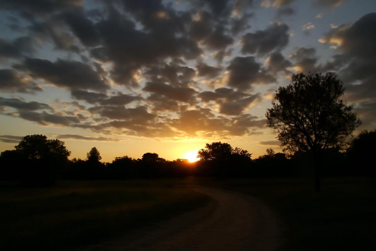 Clima en Mendoza: pronóstico del tiempo para el 13 de abril