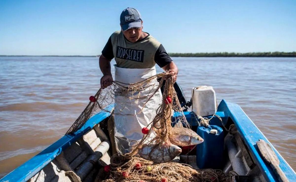 El cambio de regulaciones provinciales afecta al sector pesquero.