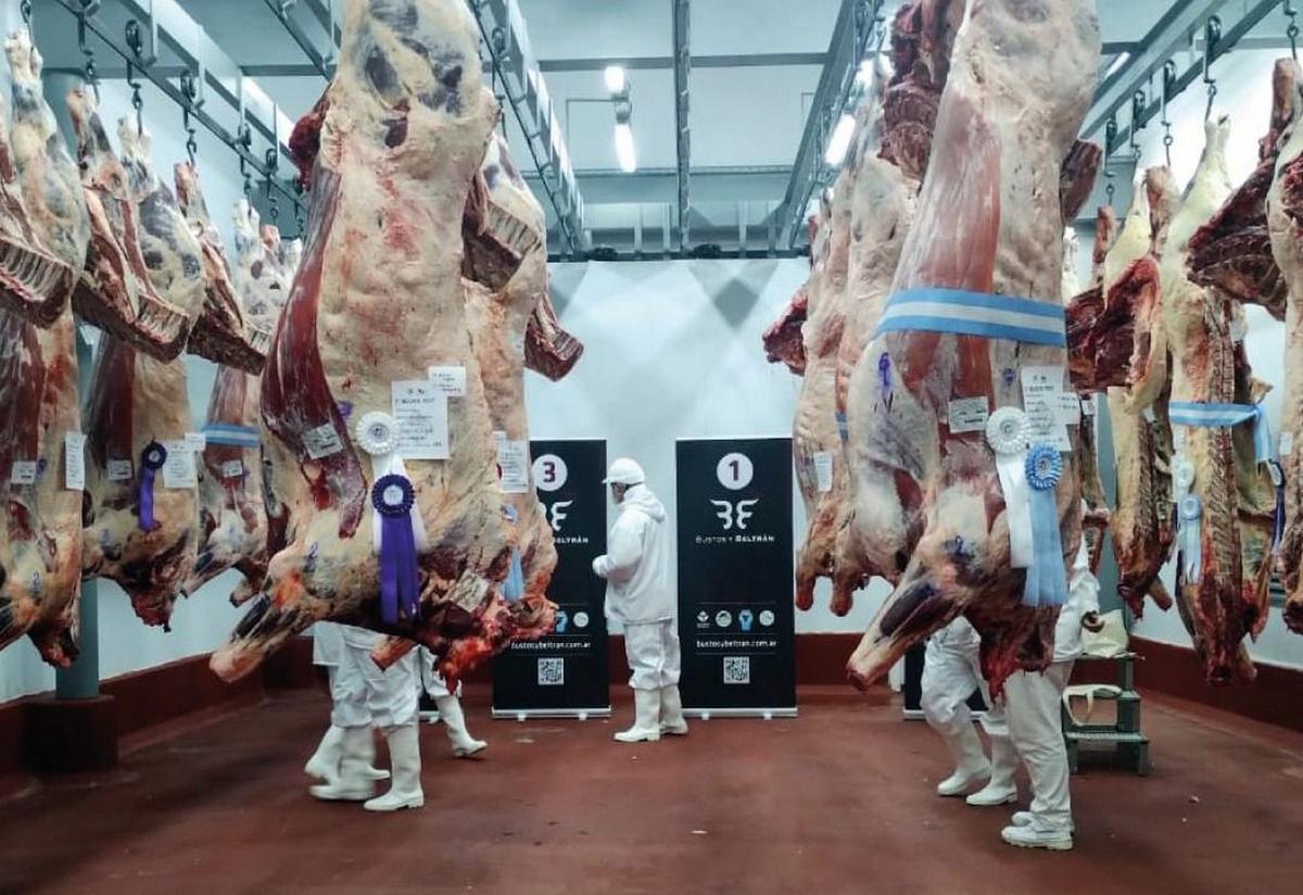 Cucarda bajo cero. Una muestra del potencial de la cadena ganadera argentina.