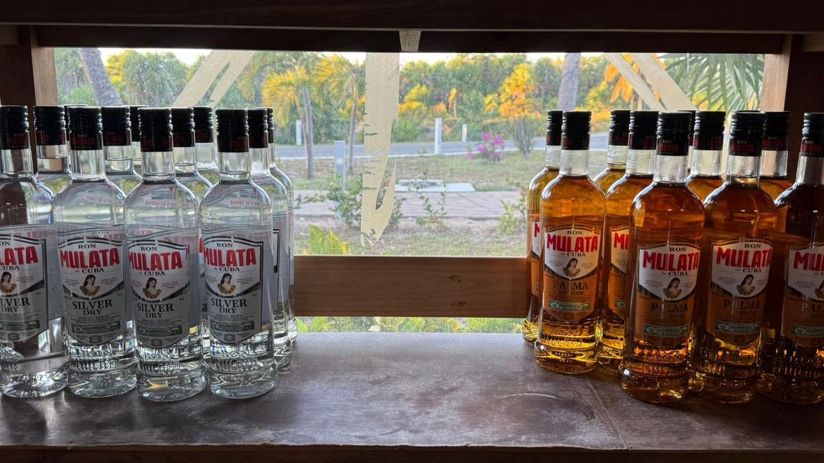 Las mejores opciones para comprar souvenirs en Cayo Largo: precios 