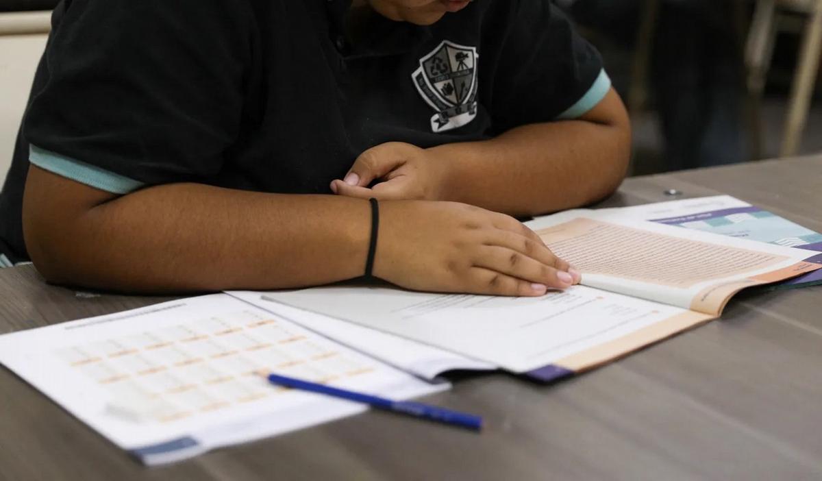 FOTO: Casi la mitad de los alumnos de primaria no logra niveles mínimos de aprendizaje