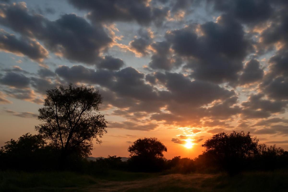 Clima en Salta: pronóstico del tiempo para el 12 de diciembre