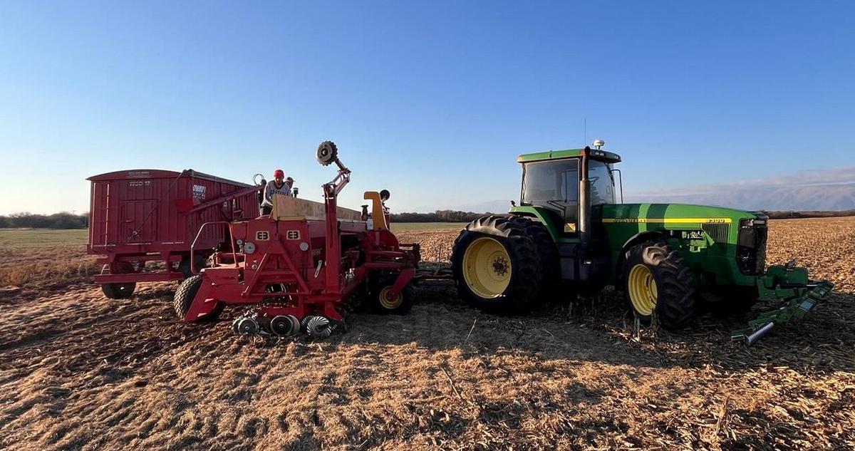 Rindes récord de trigo en San Luis 