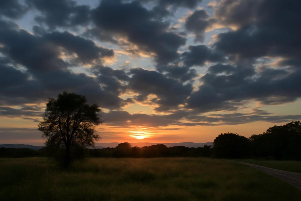 Clima en Salta: pronóstico del tiempo para el 6 de enero