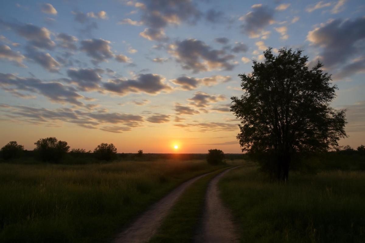 Clima en Rosario: pronóstico del tiempo para el 7 de diciembre